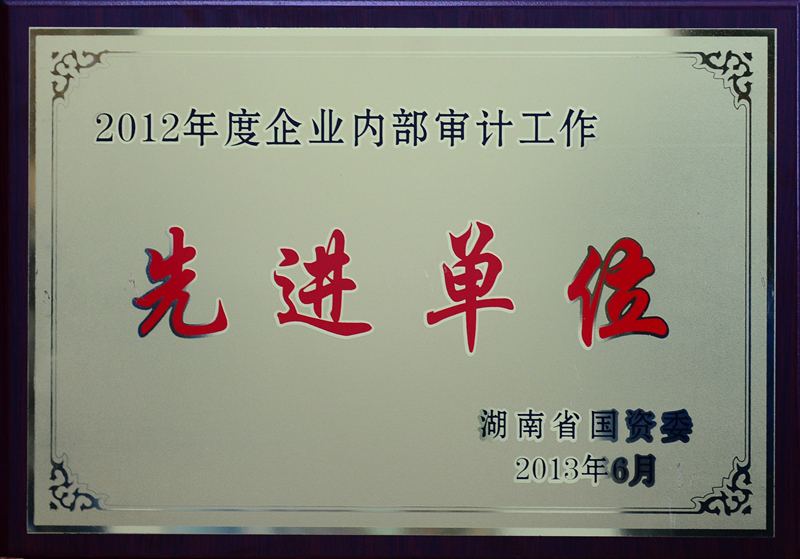 湖南省企業(yè)內部審計工作先進單位